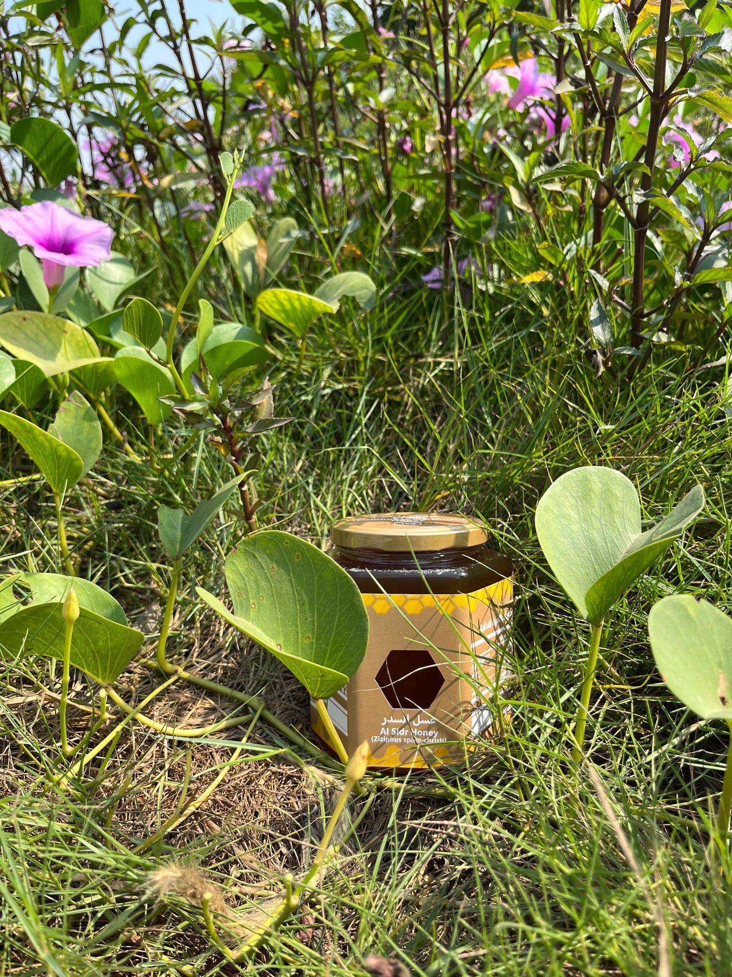 عسل السدر Alsidr Honey
